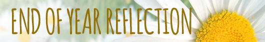 End of Year Reflection